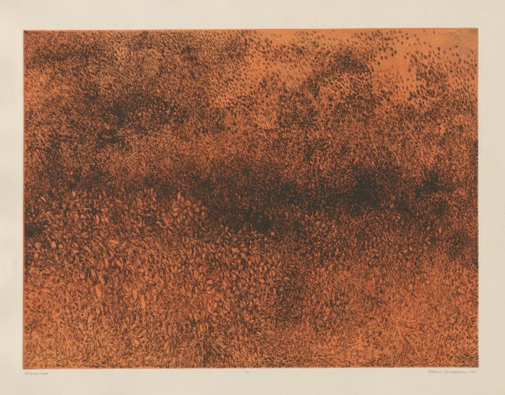 Detail of Leaf scape color 1958